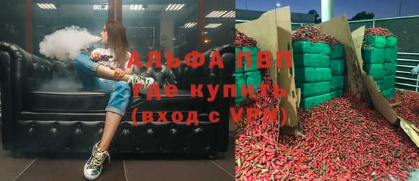 СК Балахна