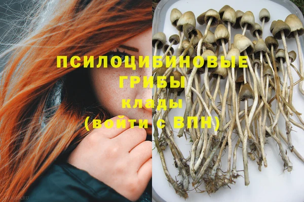 мет Баксан