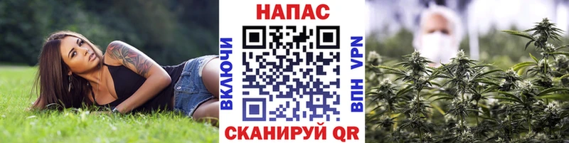 Конопля THC 21% Волоколамск